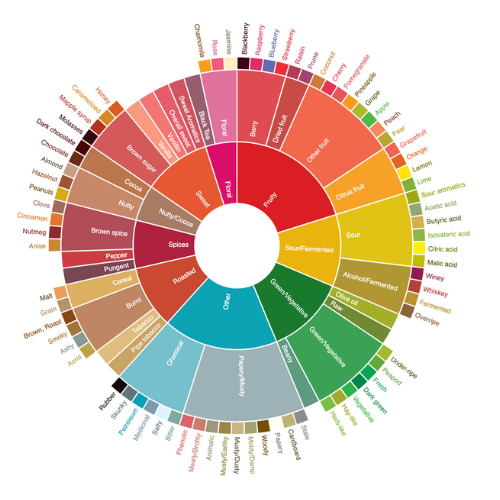 Coffee Tasters Flavor Wheel