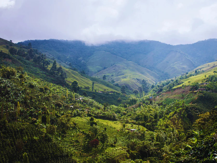 Colombia
