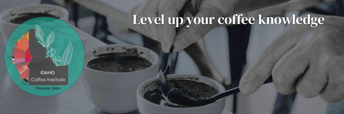 slider image slider_item_K4c4cF