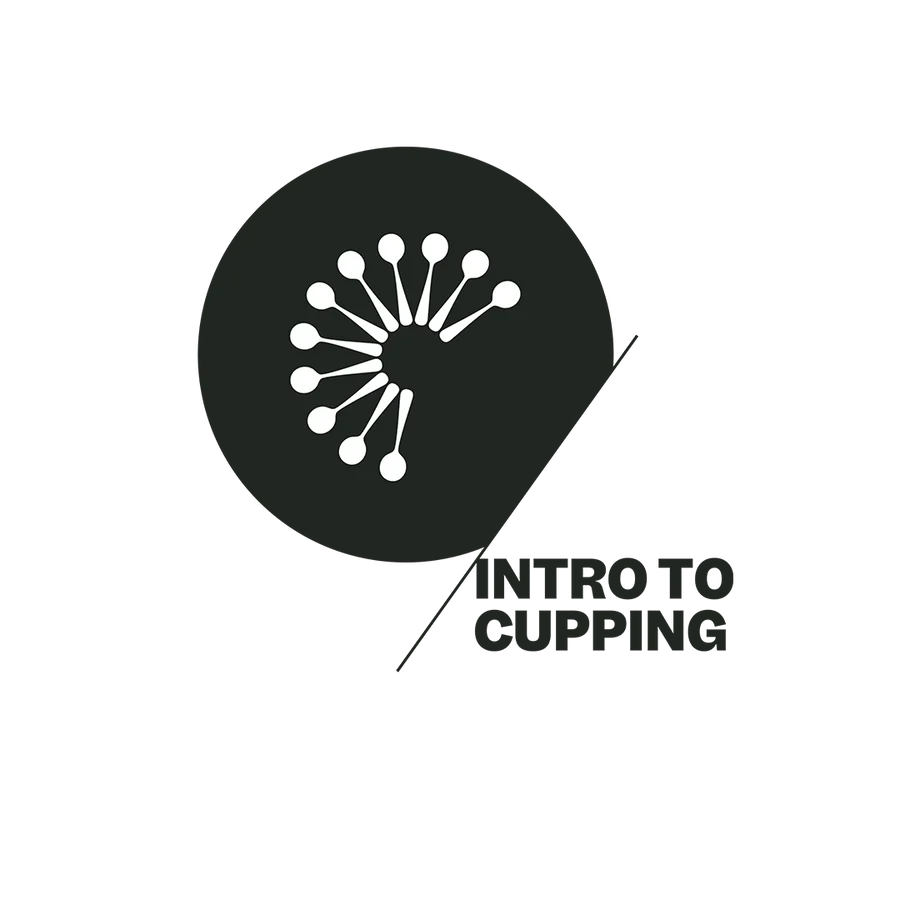 Introduction to Coffee and Intro to Cupping Workshop (in person)