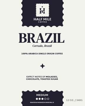 Brazil Salmo